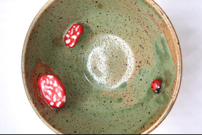 LADYBUG AND MUSHROOMS INSIDE