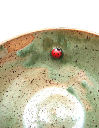 LADYBUG AND MUSHROOMS INSIDE